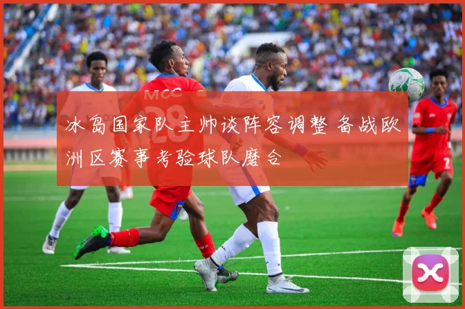 冰岛国家队主帅谈阵容调整 备战欧洲区赛事考验球队磨合