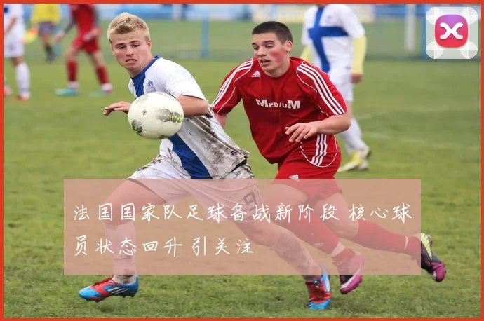 法国国家队足球备战新阶段 核心球员状态回升 引关注
