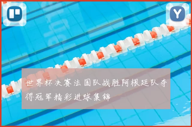 世界杯决赛法国队战胜阿根廷队夺得冠军精彩进球集锦
