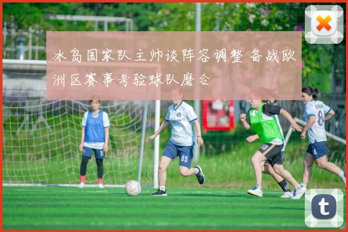 冰岛国家队主帅谈阵容调整 备战欧洲区赛事考验球队磨合