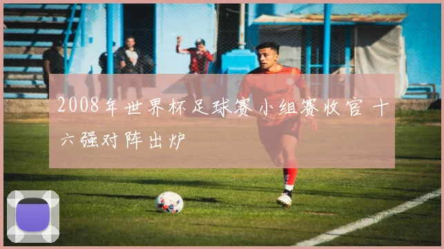 2008年世界杯足球赛小组赛收官 十六强对阵出炉