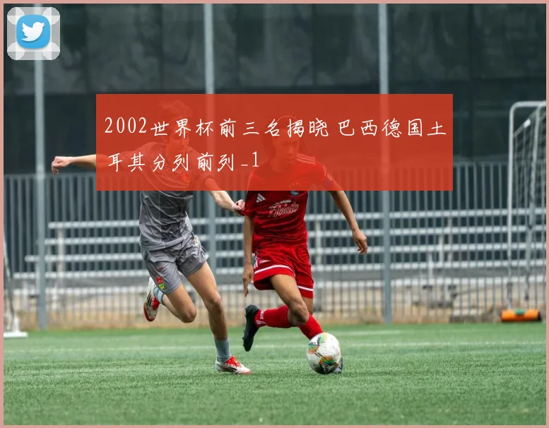 2002世界杯前三名揭晓 巴西德国土耳其分列前列_1