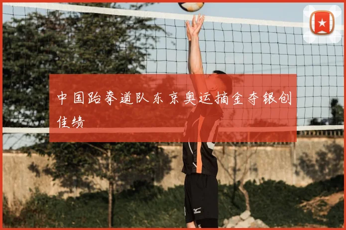 中国跆拳道队东京奥运摘金夺银创佳绩