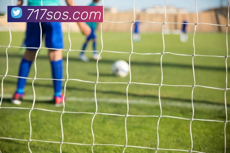 ky体育APP 封面图